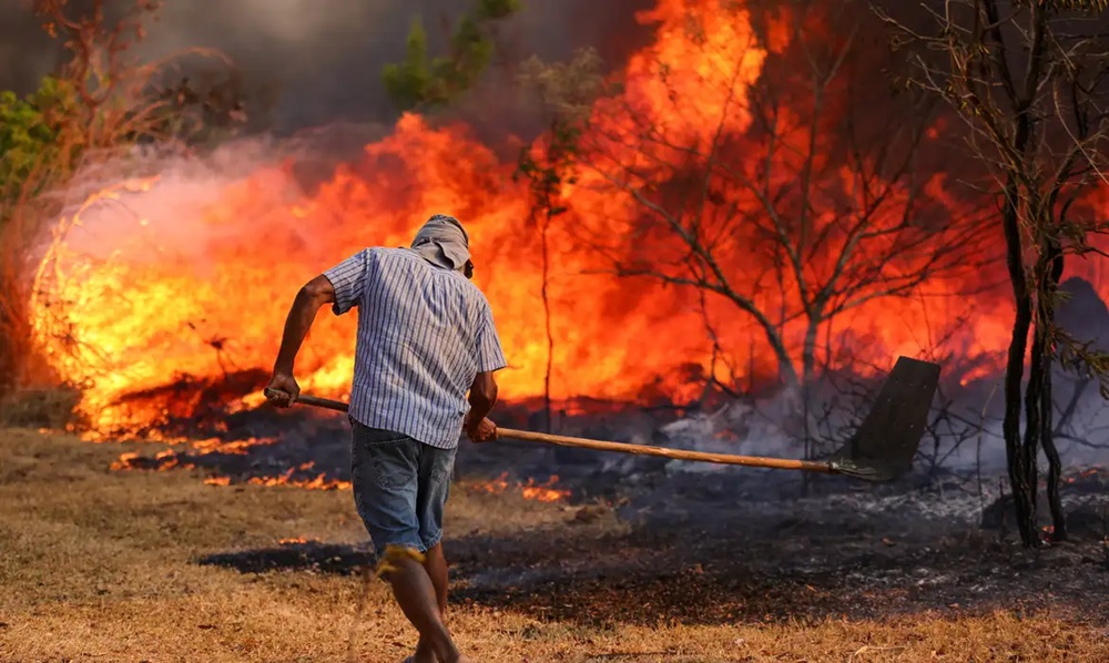 Minas Gerais é o quinto estado mais afetado por focos de incêndio durante o período de seca intensa