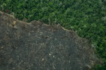 Greenpeace: imagens mostram novas áreas de garimpo em Territórios Indígenas na Amazônia