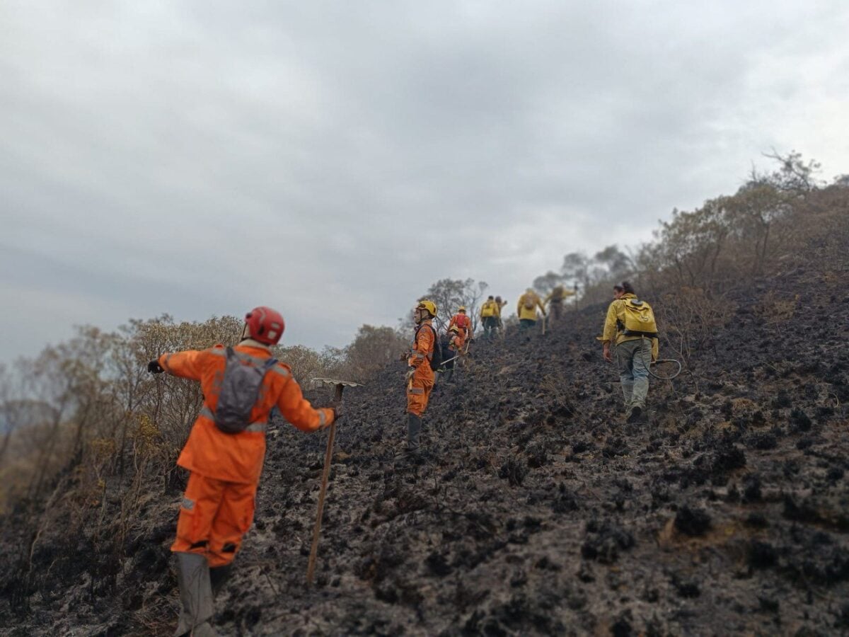 Fogo em Minas: bombeiros são acionados para quase 300 incêndios florestais em 24 horas