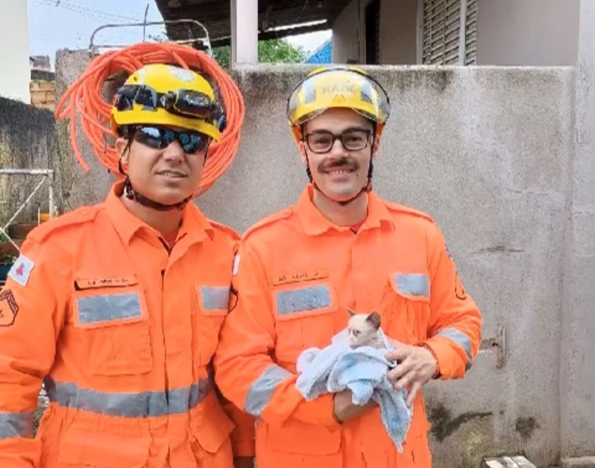 Gato preso em tubulação é resgatado pelo Corpo de Bombeiros