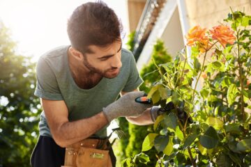 Sine oferece vaga para jardineiro em Itabira nesta quarta-feira (16)