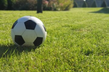 Botafogo: os segredos de uma temporada inesquecível