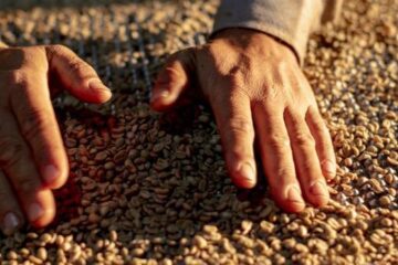 Produto Interno Bruto do estado de Minas Gerais avança 1,2% no 3° trimestre