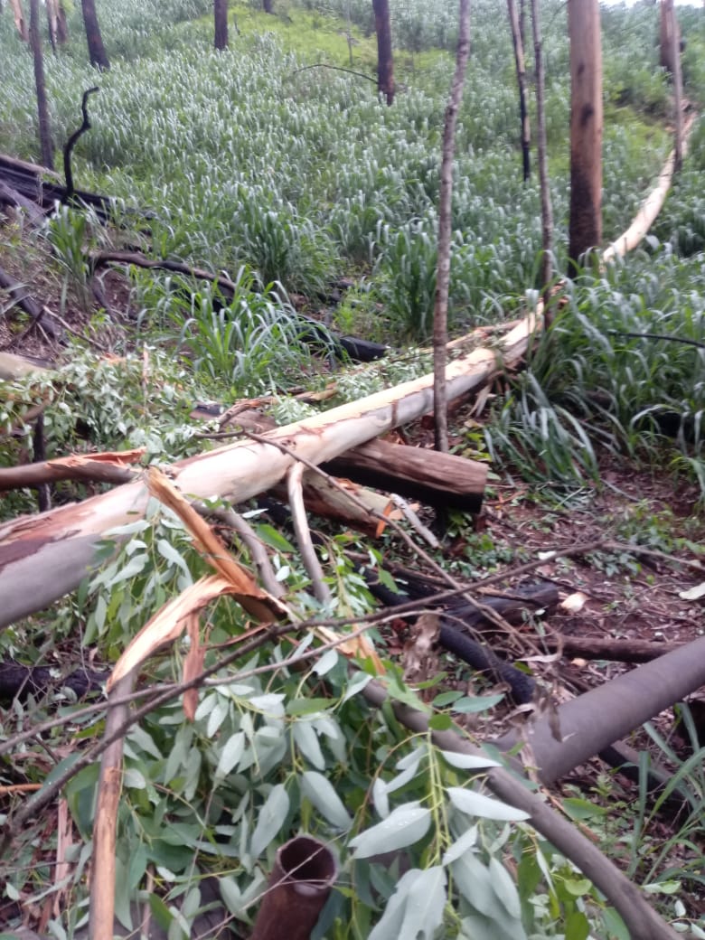 Fortes chuvas em João Monlevade afetam o abastecimento dos bairros Vila Tanque e Areia Preta