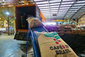 “Tarifaço” atinge 63% das exportações de Minas para os EUA e preocupa indústria