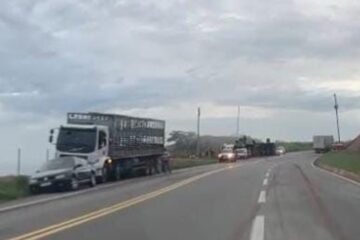 Vídeo: caminhão carregado com porcos tomba na BR-381 em Nova Era; parte da carga é saqueada