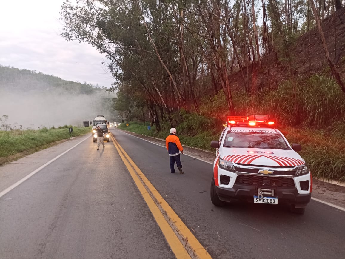 Brigada Florestal, Sevor e órgãos públicos municipais atuam na remoção de árvores em João Monlevade e na BR-381