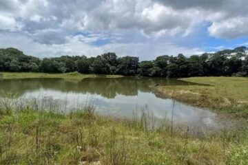 Fundação Estadual de Meio Ambiente apresenta relatório com áreas de mineração recuperadas e em processo de recuperação