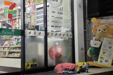 Amor eterno! Cachorro se recusa deixar local onde vivia com tutor já falecido