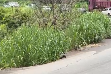 Motoristas alertam para início de erosão na BR-381, próximo a Ravena