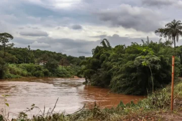 Estudo detecta presença de metais na urina de crianças em Brumadinho