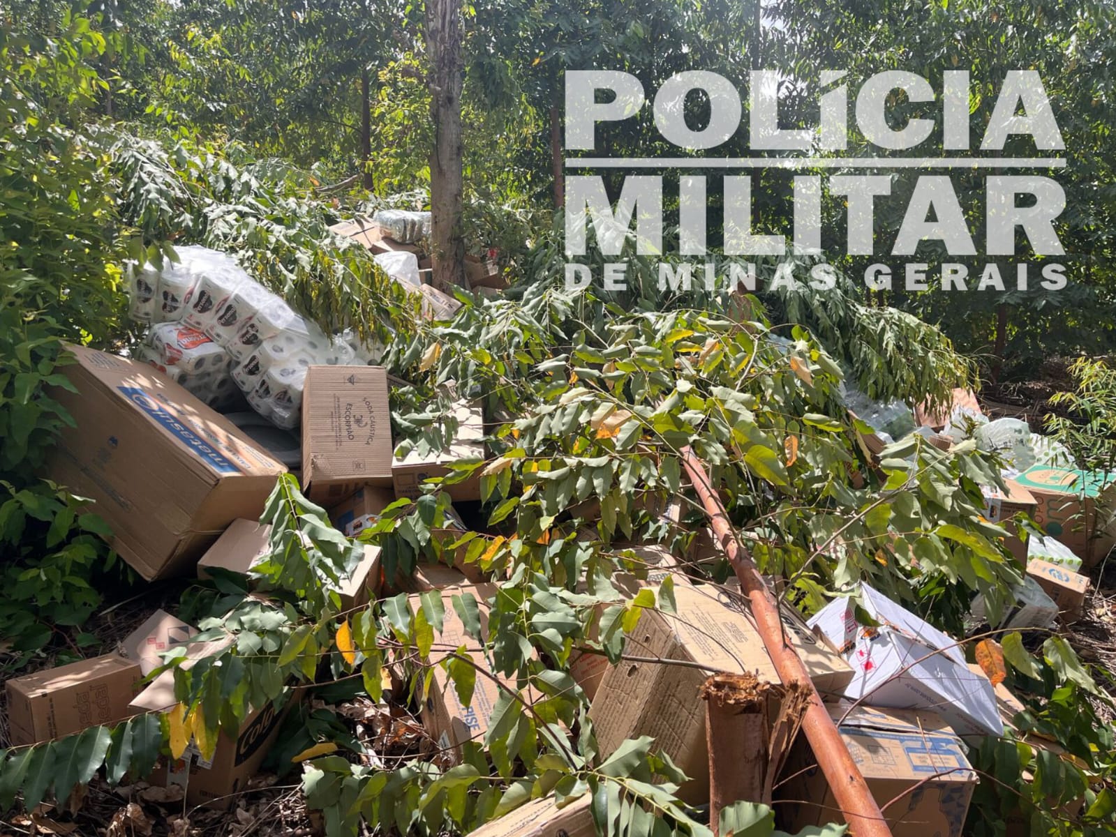 Polícia Militar recupera carga roubada na BR-381, em São Gonçalo do Rio Abaixo