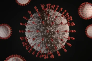 Pesquisadores chineses identificam novo coronavírus que pode infectar humanos