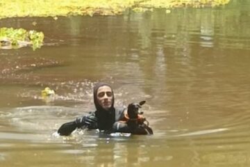 Minas Gerais: bombeiros resgatam cadela em risco de afogamento na lagoa do Parque do Goiabal