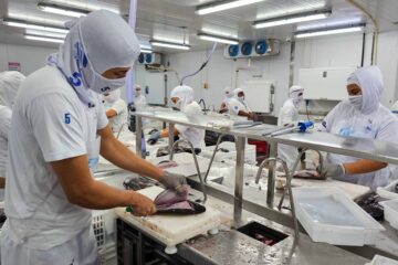 Morada Nova de Minas, na região Central, é o maior município produtor de tilápias do Brasil