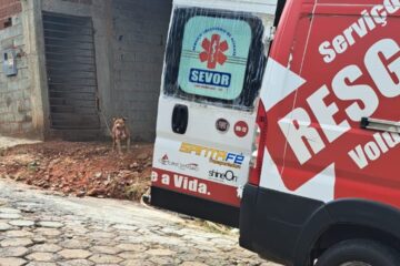 Ataques de cães em Minas aumentam no 1º semestre em comparação ao mesmo período de 2024