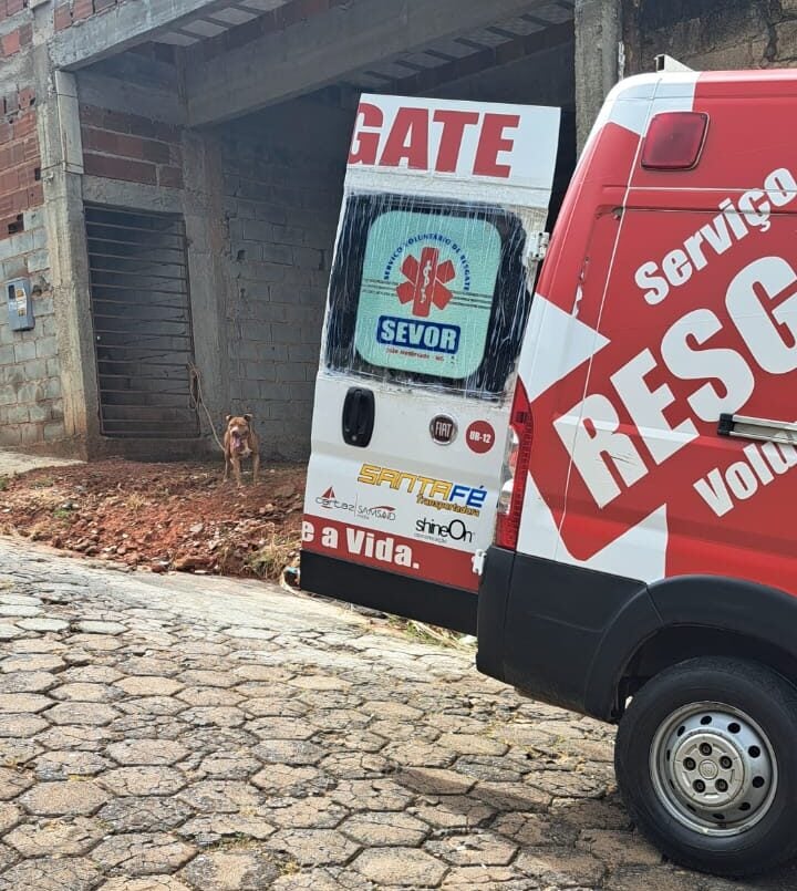 Ataques de cães em Minas aumentam no 1º semestre em comparação ao mesmo período de 2024
