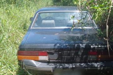 Polícia recupera veículo furtado de BH abandonado em área de vegetação em Itabira