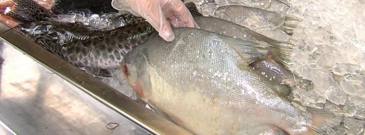 Emater-MG orienta consumidores sobre compra segura de peixes durante a Semana Santa