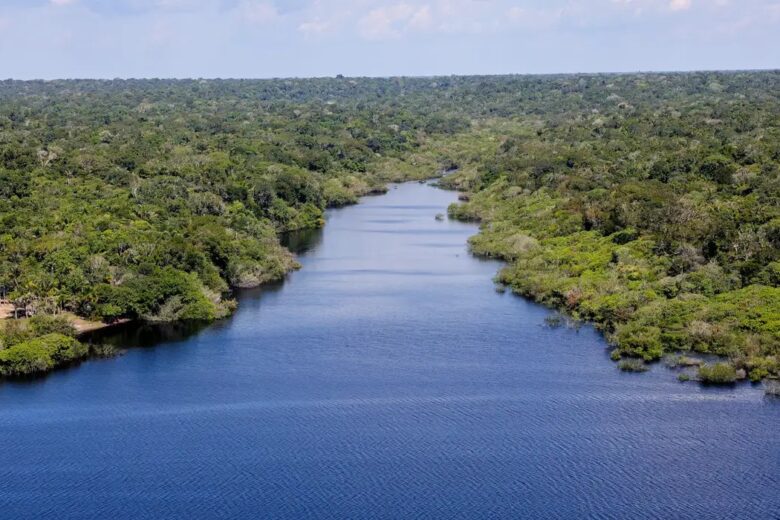Nova etapa do projeto Restaura Amazônia é lançado durante ATL