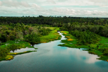 Área de proteção terá trilha ecológica e turismo de base comunitária