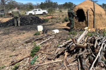 Operação Divisa aplica mais de R$ 3,5 milhões em multas por crimes ambientais no Norte de Minas