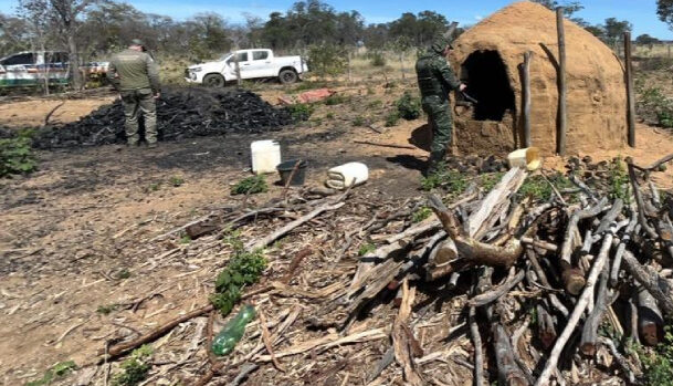Operação Divisa aplica mais de R$ 3,5 milhões em multas por crimes ambientais no Norte de Minas