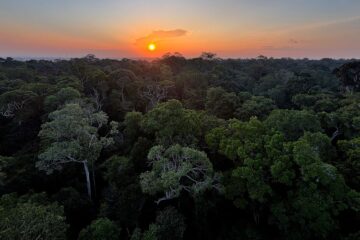 Itabira realiza Semana do Meio Ambiente com foco nas Unidades de Conservação e mudanças climáticas