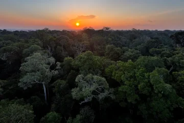 Começou hoje em Brasília a 5ª Conferência Nacional do Meio Ambiente