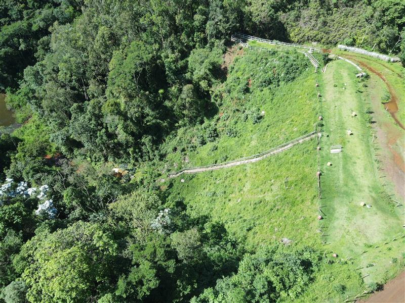 Vale inicia descaracterização de barragem da Mina de Águas Claras, em Nova Lima