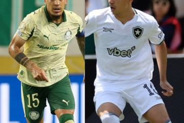 Palmeiras e Botafogo fazem duelo brasileiro no Mundial