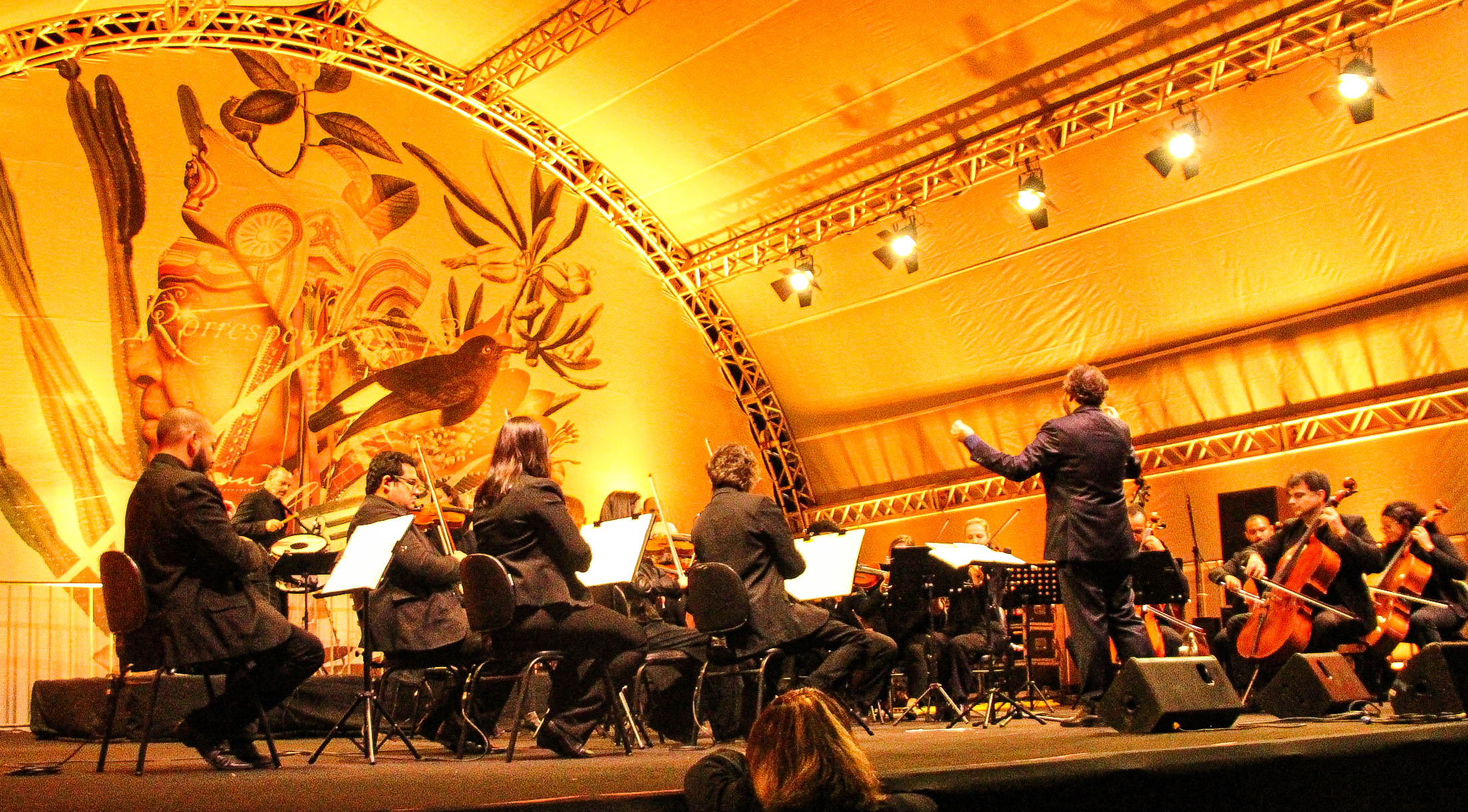 Confira a galeria de fotos da Orquestra Ouro Preto com tributo a Luiz Gonzaga, em Itabira