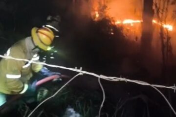 Mais um incêndio é registrado às margens da estrada 105, em Itabira