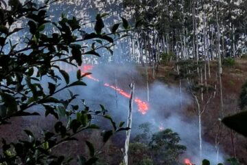 Queimada atinge área de Mata próximo à estrada 105, em Itabira