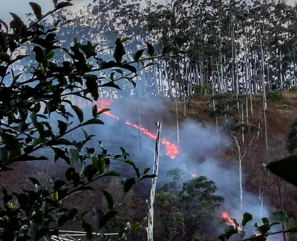 Queimada atinge área de Mata próximo à estrada 105, em Itabira