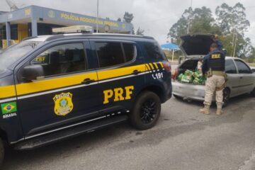 Minas Gerais lidera ranking de saques de carga em rodovias do país