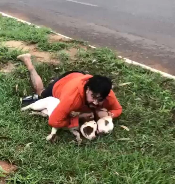 Professor de Muay Thai imobiliza dois pitbulls durante ataque em Ponta Porã (MS)