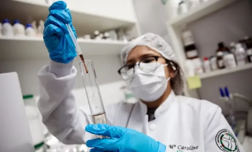 Oportunidades de emprego em Itabira: Confira as 110 vagas do SINE desta terça-feira (16)