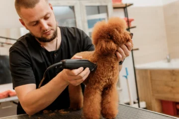 Vagas com benefícios: sine Itabira disponibiliza 103 oportunidades de emprego nesta terça-feira (8)