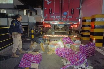 PRF apreende 400 kg de maconha escondidos em carga de carne na BR-262, em Juatuba