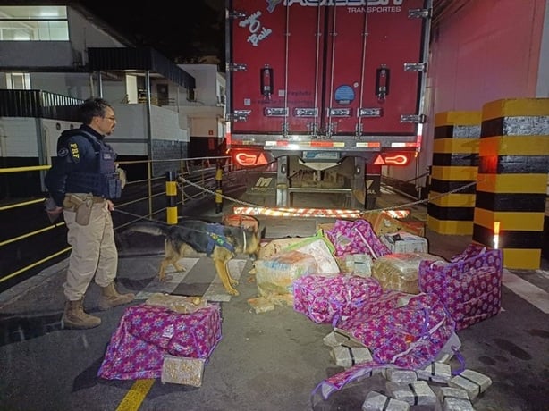 PRF apreende 400 kg de maconha escondidos em carga de carne na BR-262, em Juatuba