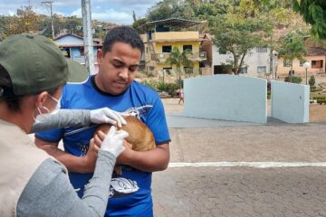 São Gonçalo começará   vacinação antirrábica para cães e gatos em agosto