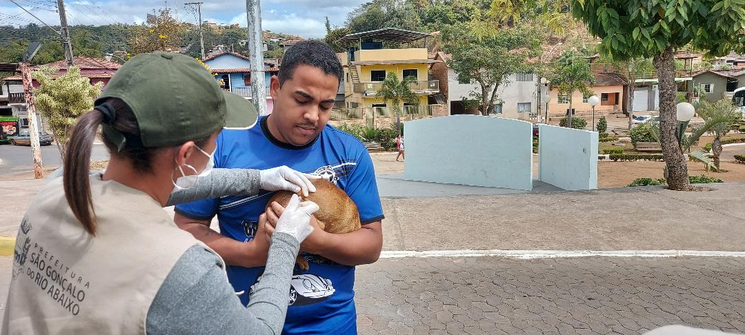 São Gonçalo começará   vacinação antirrábica para cães e gatos em agosto