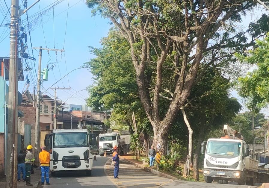 Poda de árvore interdita acesso à avenida das Rosas nesta quarta-feira em Itabira