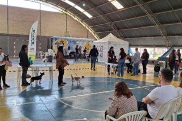 A Prefeitura de João Monlevade promove castração gratuita para 480 cães e gatos até nesta quinta-feira (21)