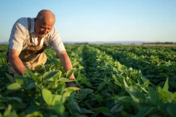 Evento “Nosso Agro” reúne produtores rurais hoje em Nova Era