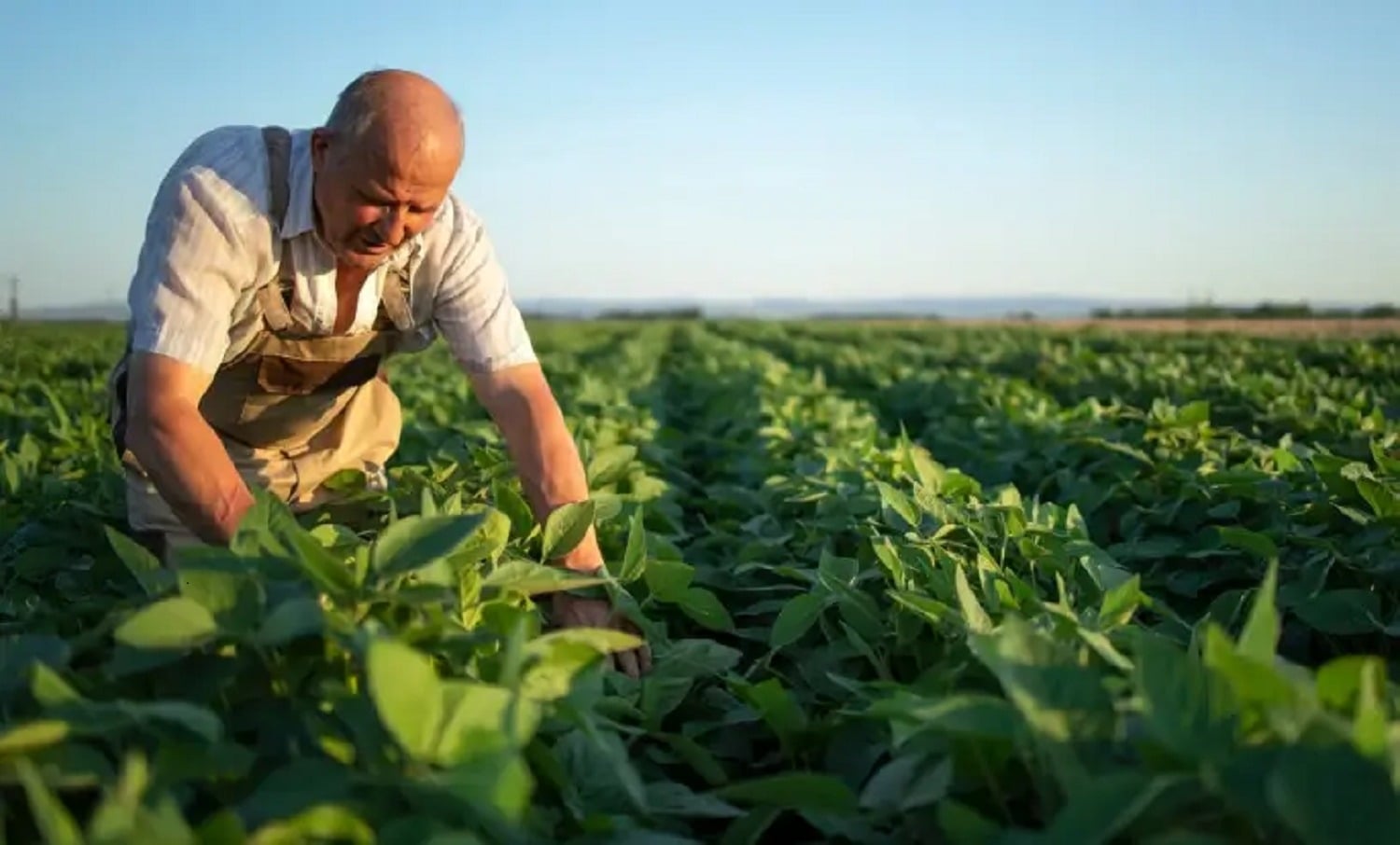 Evento “Nosso Agro” reúne produtores rurais hoje em Nova Era