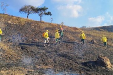 Itabira registra mais de 60 focos de incêndio em vegetação em 2025