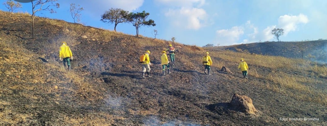 Itabira registra mais de 60 focos de incêndio em vegetação em 2025