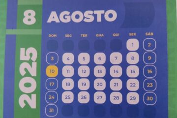 Agosto de 2025 não terá feriados, mas destaca campanhas de saúde, direitos humanos e o ‘Agosto Verde’ para a primeira infância